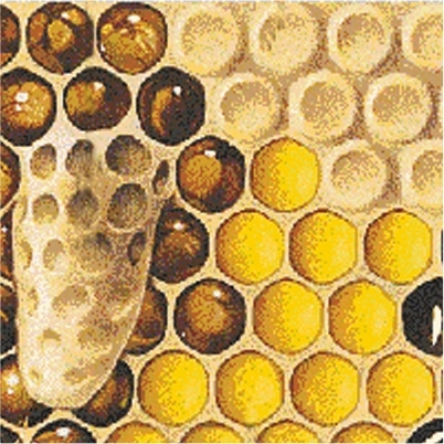 Soin de nuit des pieds : Chaussettes ou crème