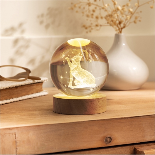 Lampe globe chat