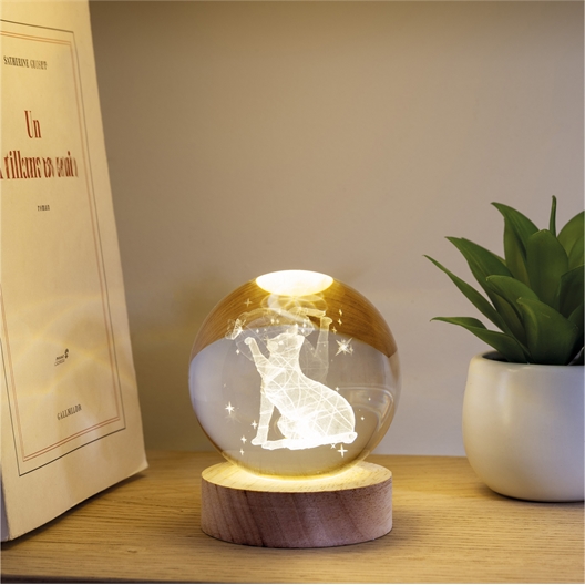 Lampe globe chat