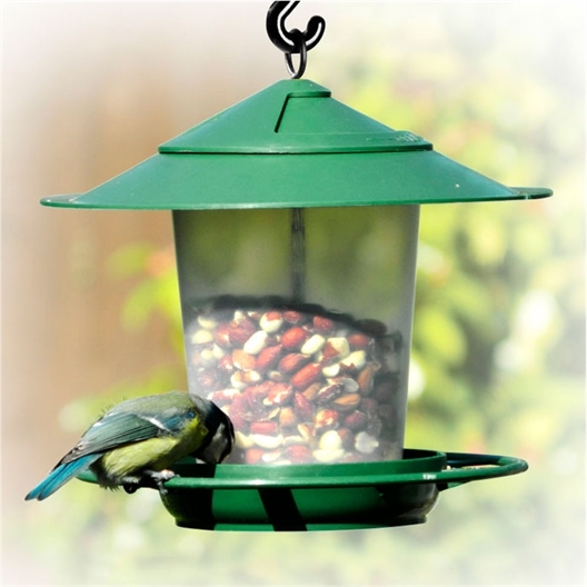 Mangeoire pour oiseaux