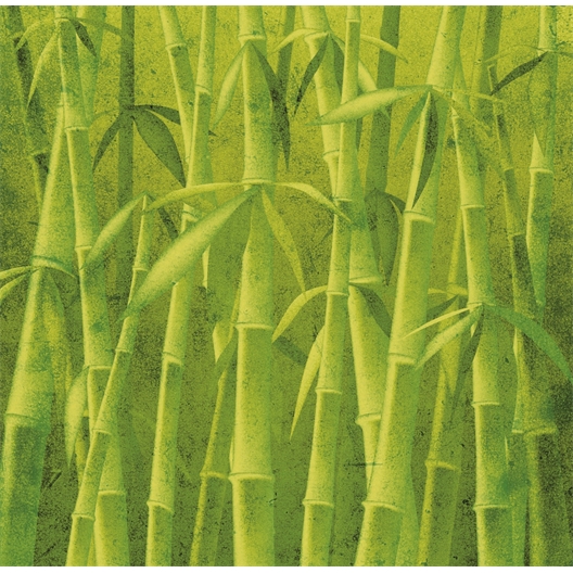 Genouillère cuivre & bambou