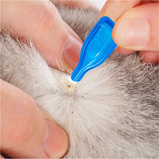 Pipettes stop parasites