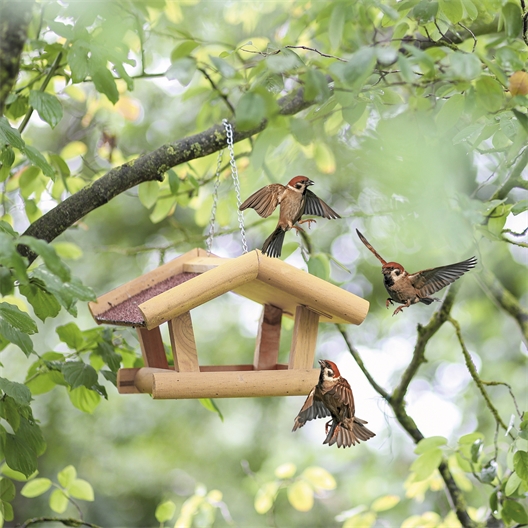 Mangeoire pour oiseaux sauvages