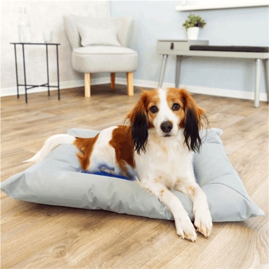 Coussin rafraîchissant