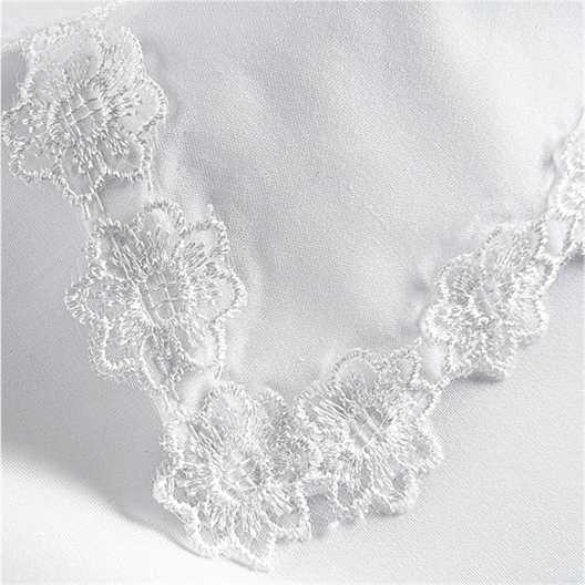 Lot 2 plastrons col fantaisie