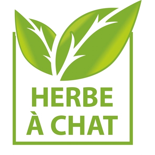 Jouet pour chat oiseau