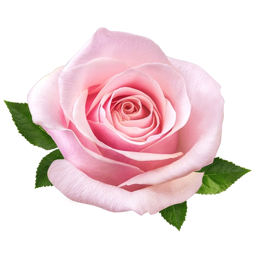 Brume corporelle Violette