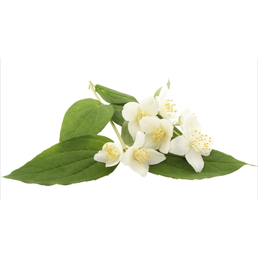 Spray endormissement à la mélatonine