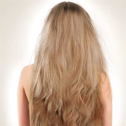 Shampoing ou Lotion Energy Booster