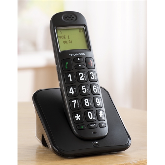 Combiné sans fil + compagnon