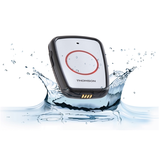 Combiné sans fil + compagnon