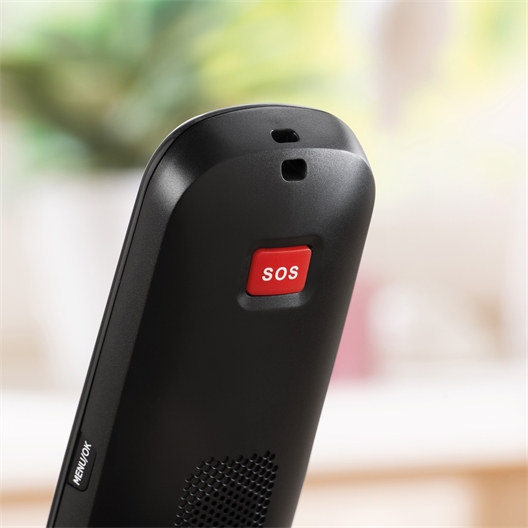 Combiné sans fil + compagnon