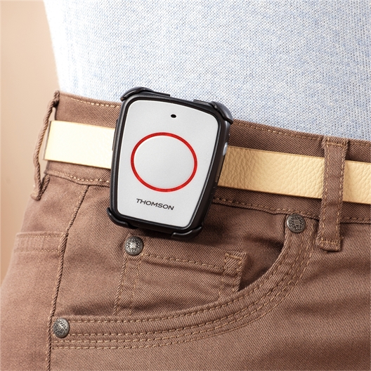 Combiné sans fil + compagnon