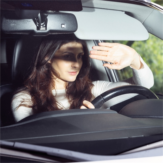 Pare-soleil voiture SUNZAPPER®