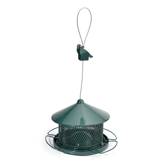Graines pour oiseaux