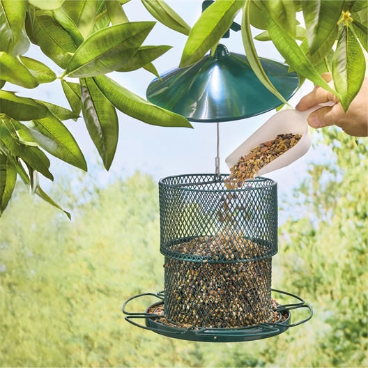 Graines pour oiseaux