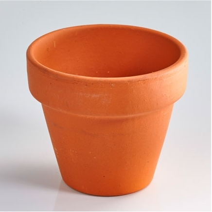 Kit trèfles à 4 feuilles