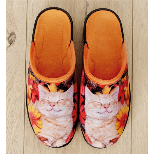 Mules chat Filou