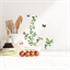 Stickers Feuilles vertes et papillons