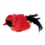 Jouet pour chat oiseau