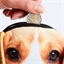 Porte-monnaie douceur chat ou chien