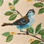 Coussin fauteuil oiseaux