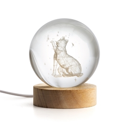 Lampe globe chat