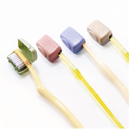 Lot 4 protège brosses à dents