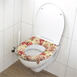 Assise de toilette
