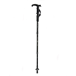 Lot de 2 bâtons de marche rétractable