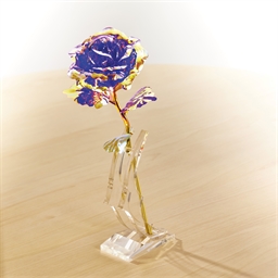 Rose dans son coffret Blanc
