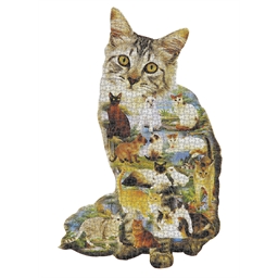Puzzle géant : divers modèles