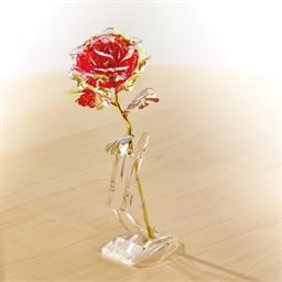 Rose dans son coffret