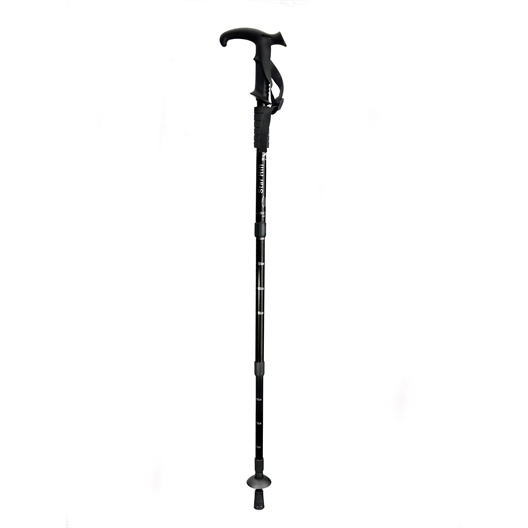 Lot de 2 bâtons de marche rétractable
