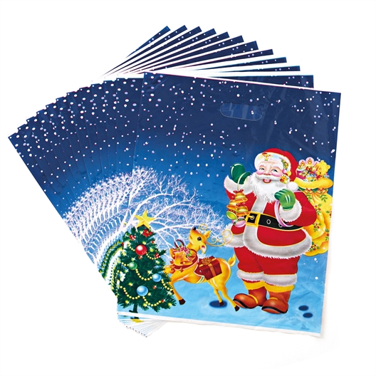 12 sachets cadeau de Noël