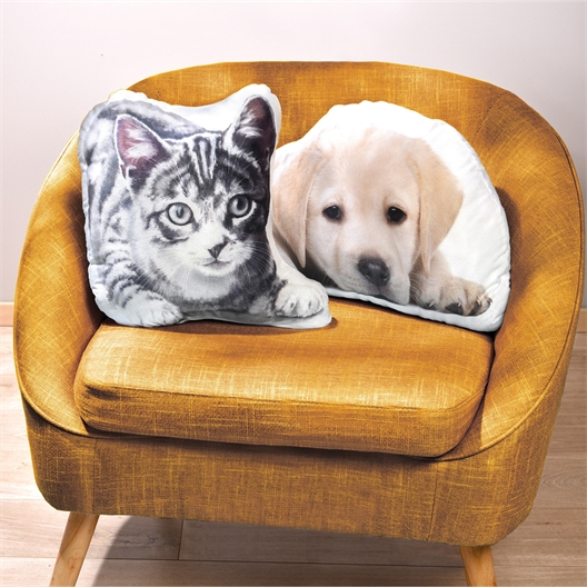 Coussin labrador
